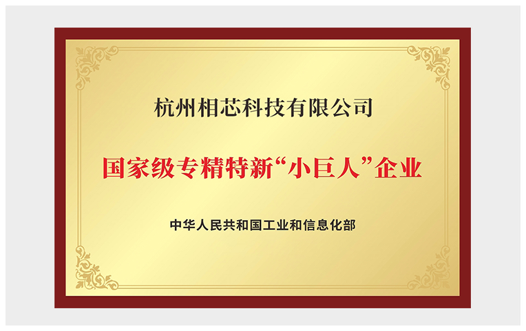 国家级专精特新“小巨人”企业